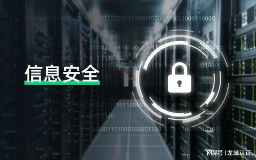 計(jì)算機(jī)信息系統(tǒng)安全專用產(chǎn)品銷售許可與技術(shù)服務(wù)中的檢測費(fèi)用解析